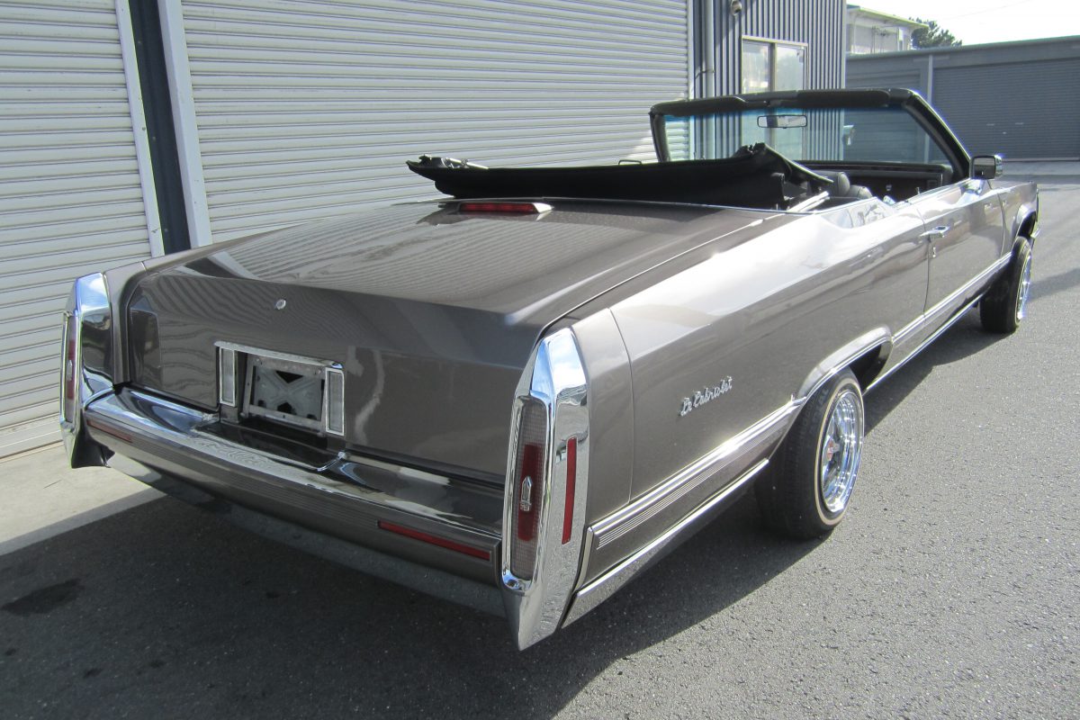 1981 Cadillac  Le cabriolet